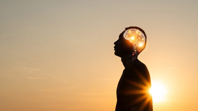 neurociencia