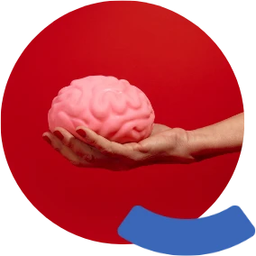 newsletter ConCiencia