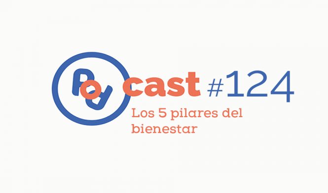 5 pilares del bienestar