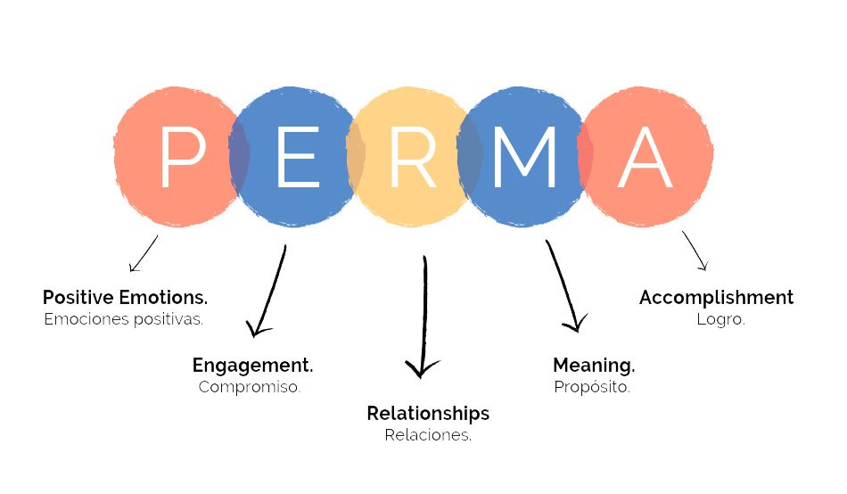 Modelo Perma de Martin Seligman: Psicología Positiva - ????